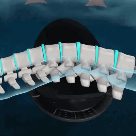 System™ - The At-Home Spinal Decompression System 12 spine animation 2